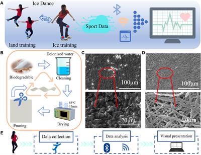 Biodegradable flexible triboelectric nanogenerator for winter sports monitoring